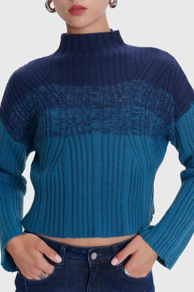 ALE - Bluze - Pulover blu me punim