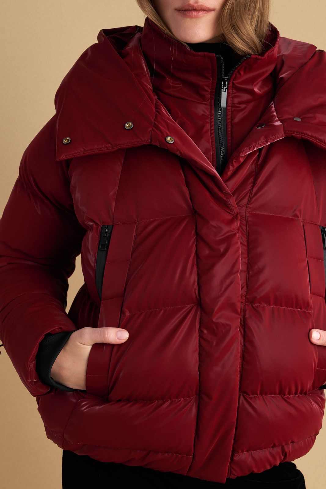 attrattivo - Xhup i shkurter i kuq dhe gri