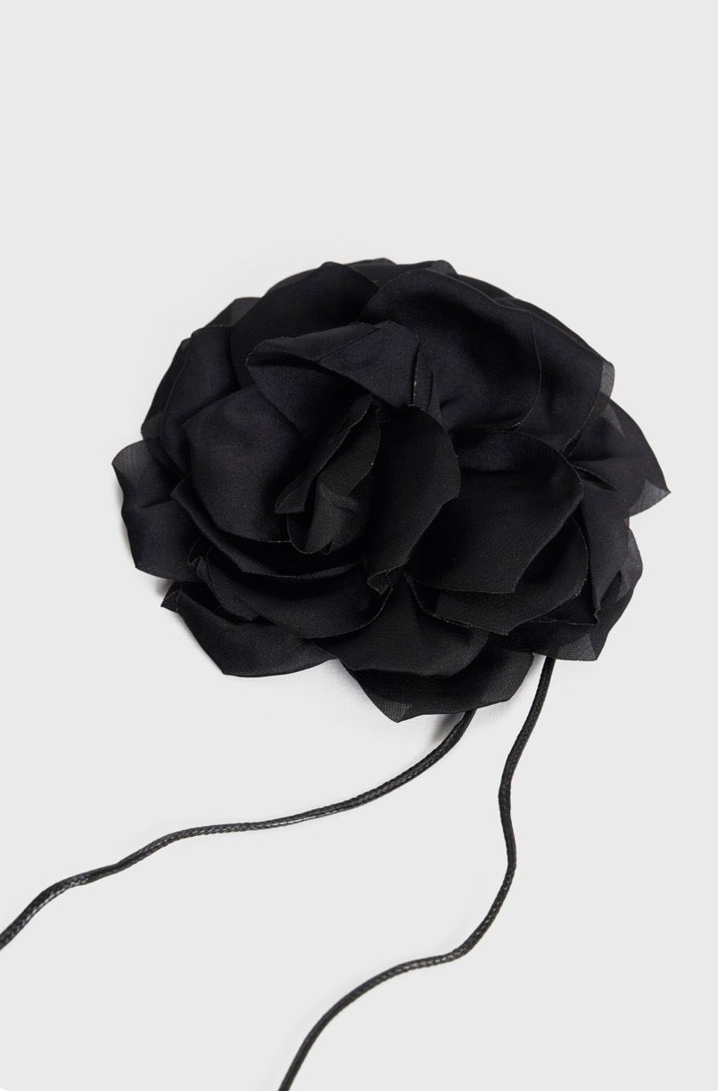 ALE - Varese ne forme luleje e zeze