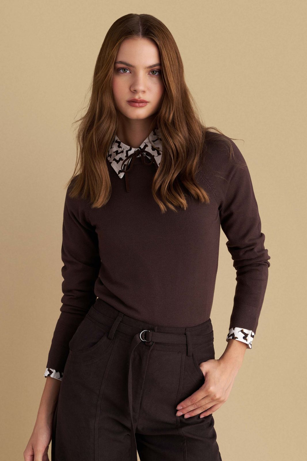 attrattivo - Bluze e deve vishnje  , kafe , jeshile , e bardhe dhe e zeze