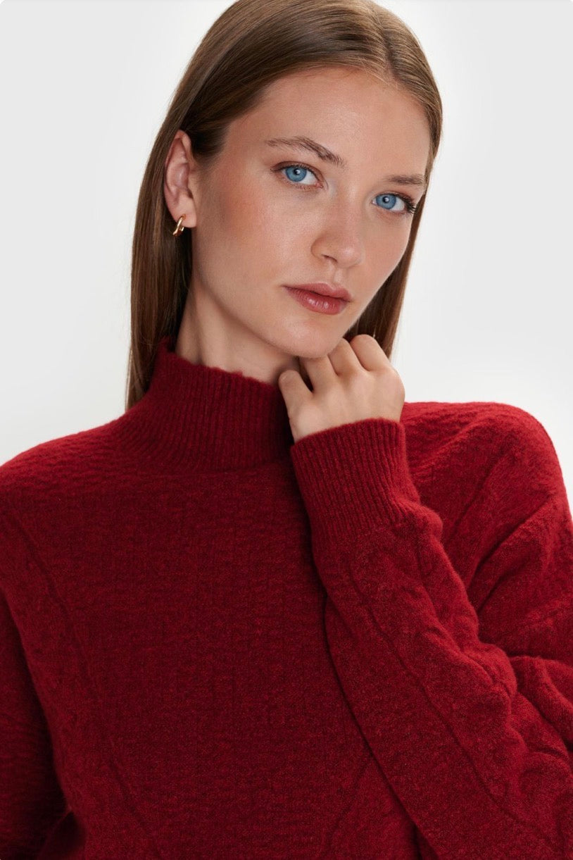 ALE - Pulover e kuqe dhe kafe me jake golf