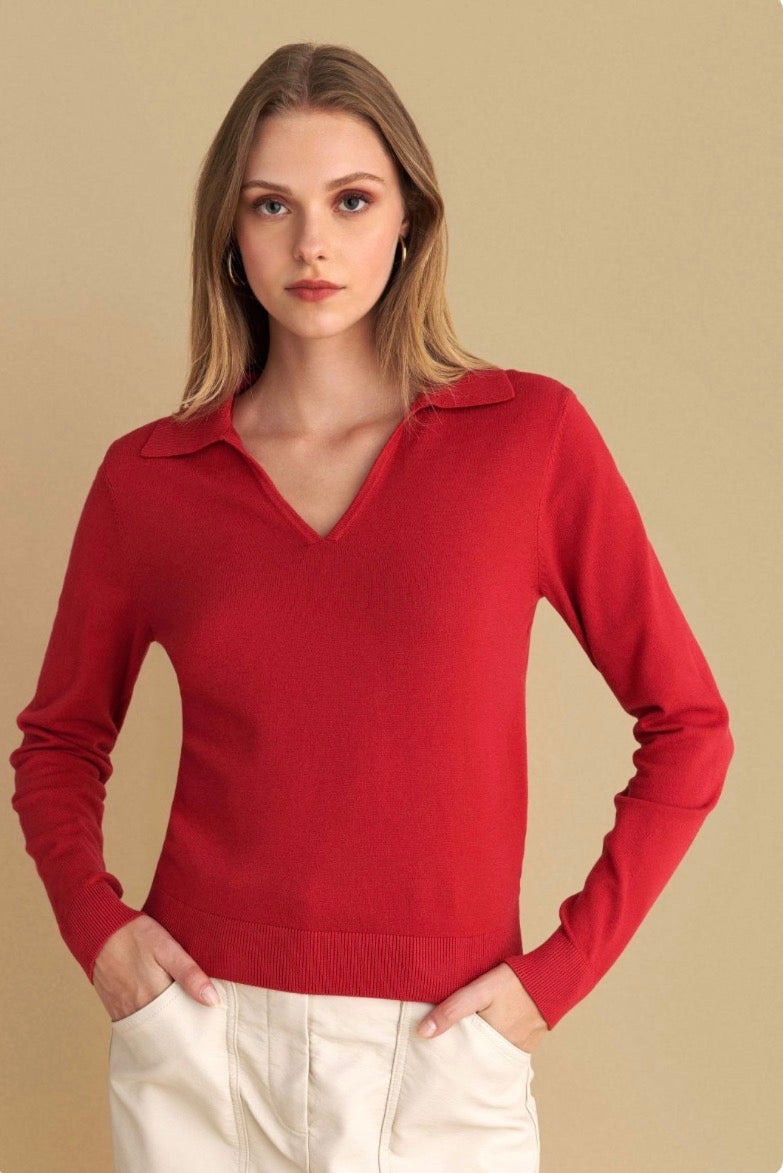 attrattivo - Bluze vishnje ,bezhe ,blu, e zeze  dhe e kuqe me jake V