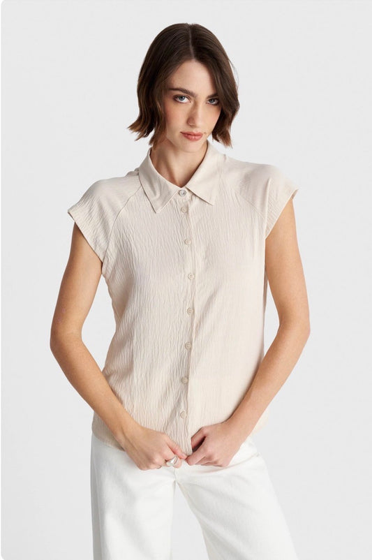 ALE - Kemishe bezhe dhe kafe