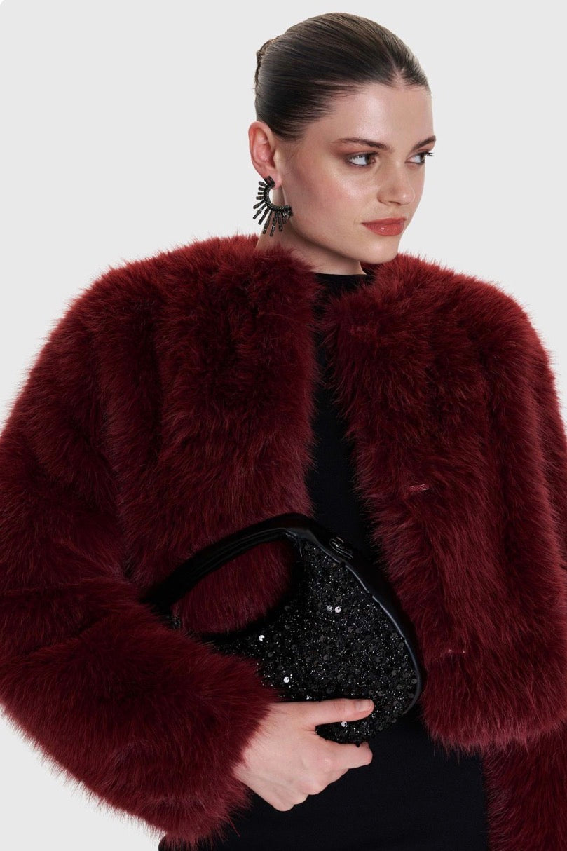 ALE - Cante e zeze dore me elemente dekorative