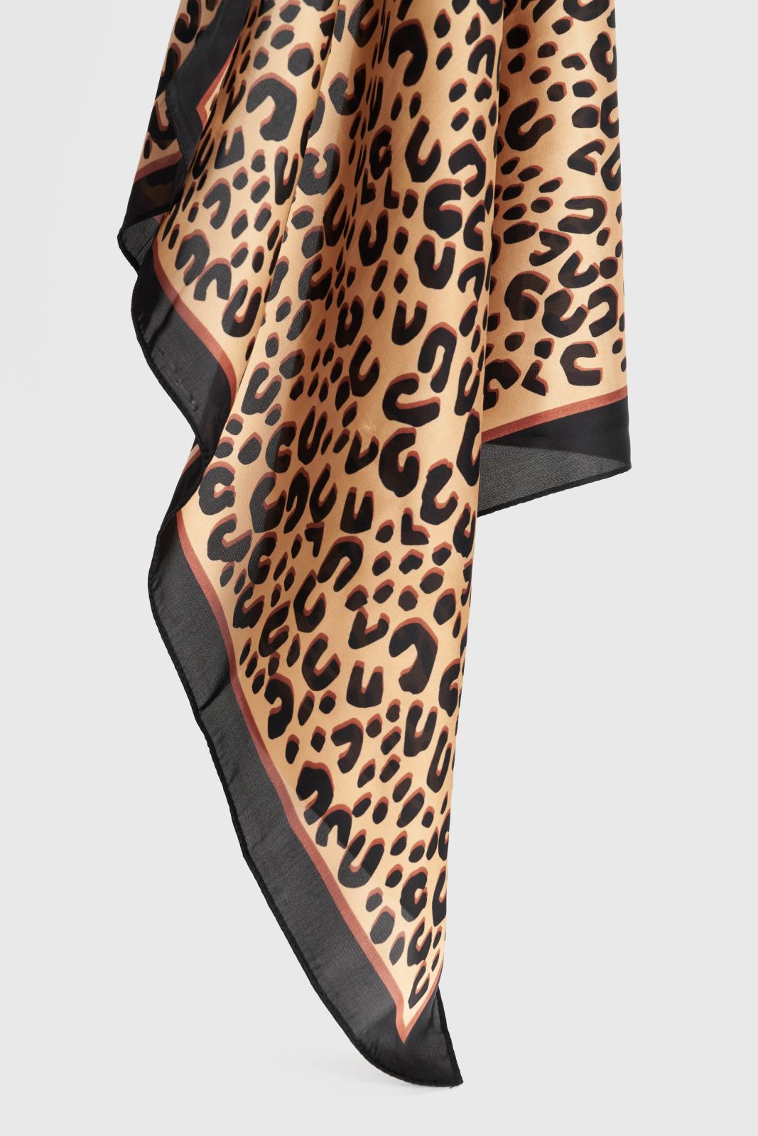 ALE - Shall me print  leopardi